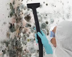 Reliable Eveleth, MN Mold Inspection Solutions